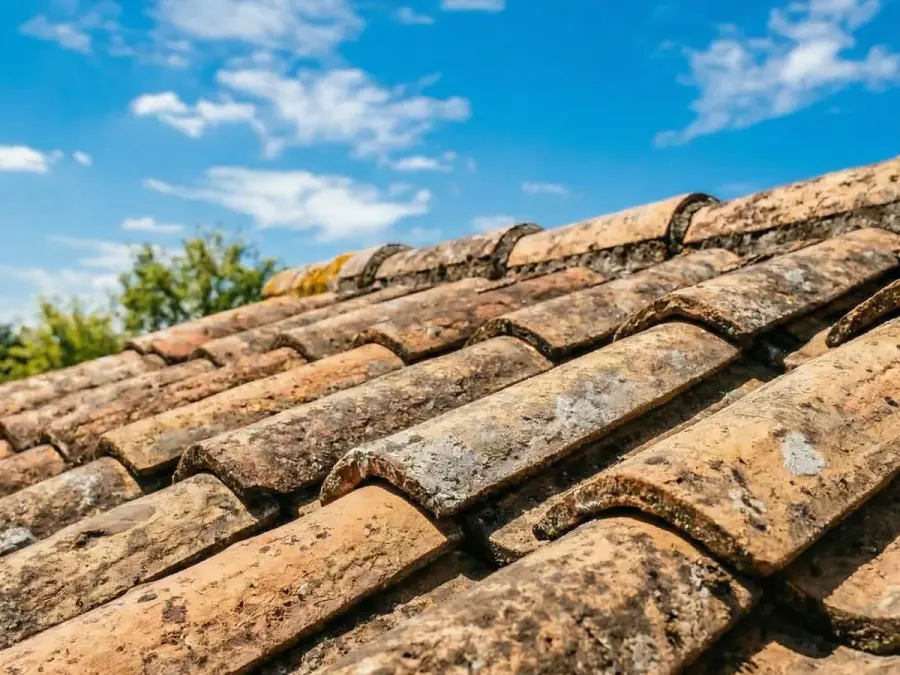 Toiture avant nettoyage